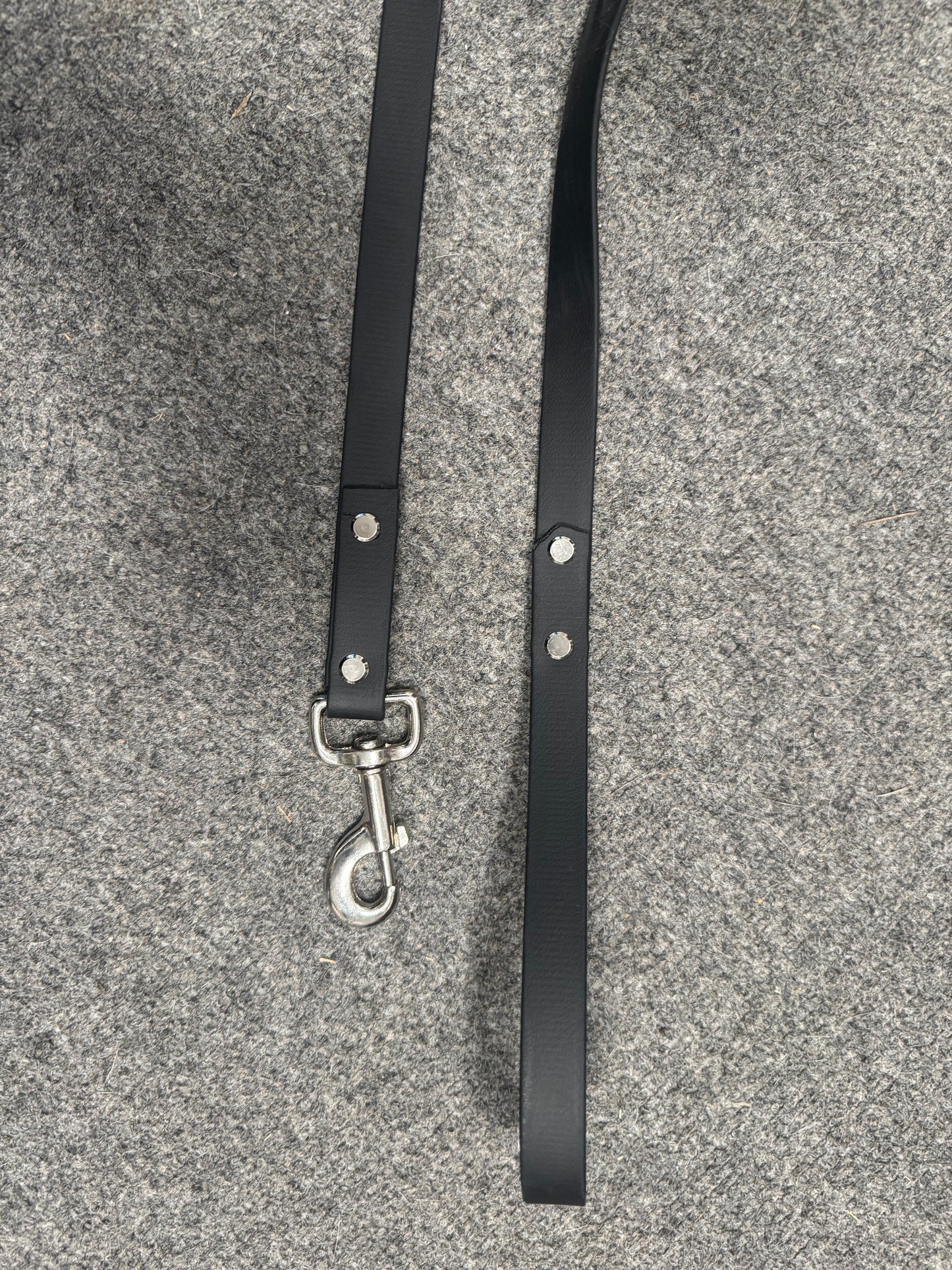 6ft Biothane Leash - Silver Clasp