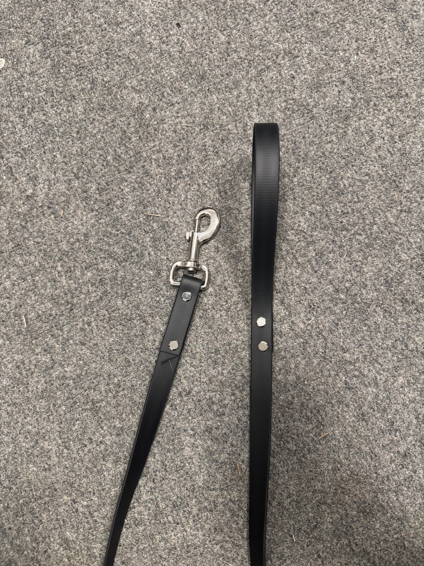 3ft Biothane Leash - Silver Clasp